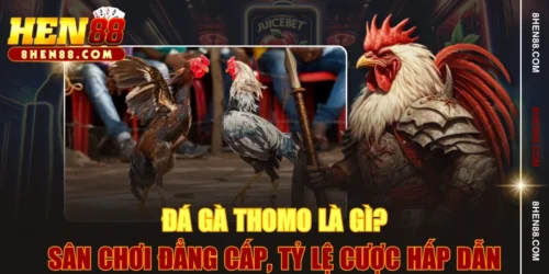 Đá Gà Thomo Là Gì? Sân Chơi Đẳng Cấp, Tỷ Lệ Cược Hấp Dẫn