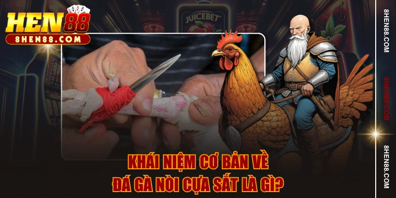 Khái niệm cơ bản về đá gà nòi cựa sắt là gì?