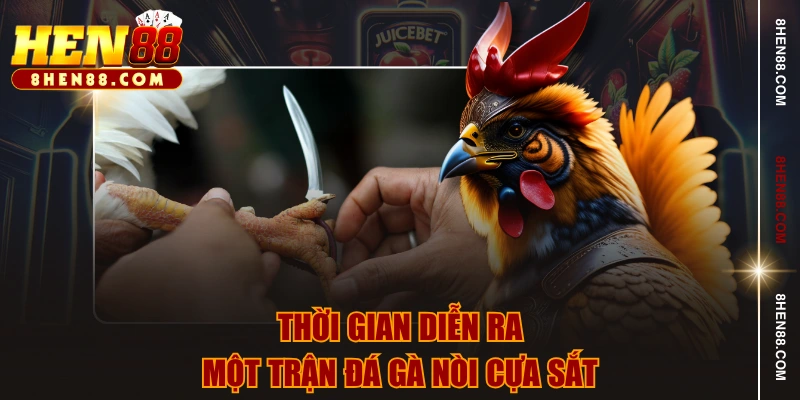 Thời gian diễn ra một trận đá gà nòi cựa sắt