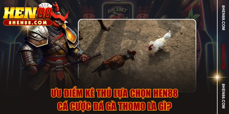 Ưu điểm kê thủ lựa chọn HEN88 cá cược đá gà Thomo là gì?