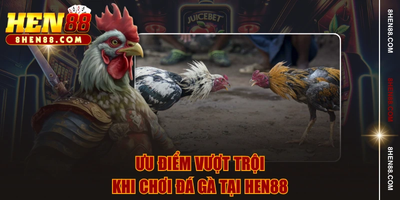 Ưu điểm vượt trội khi chơi đá gà tại HEN88